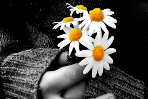 رسیدن به برترین مرتبه ی ایمان